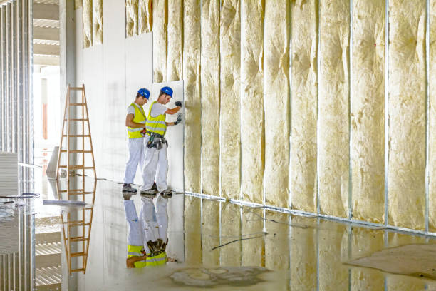 Best Residential Insulation in Chagrin Falls, OH